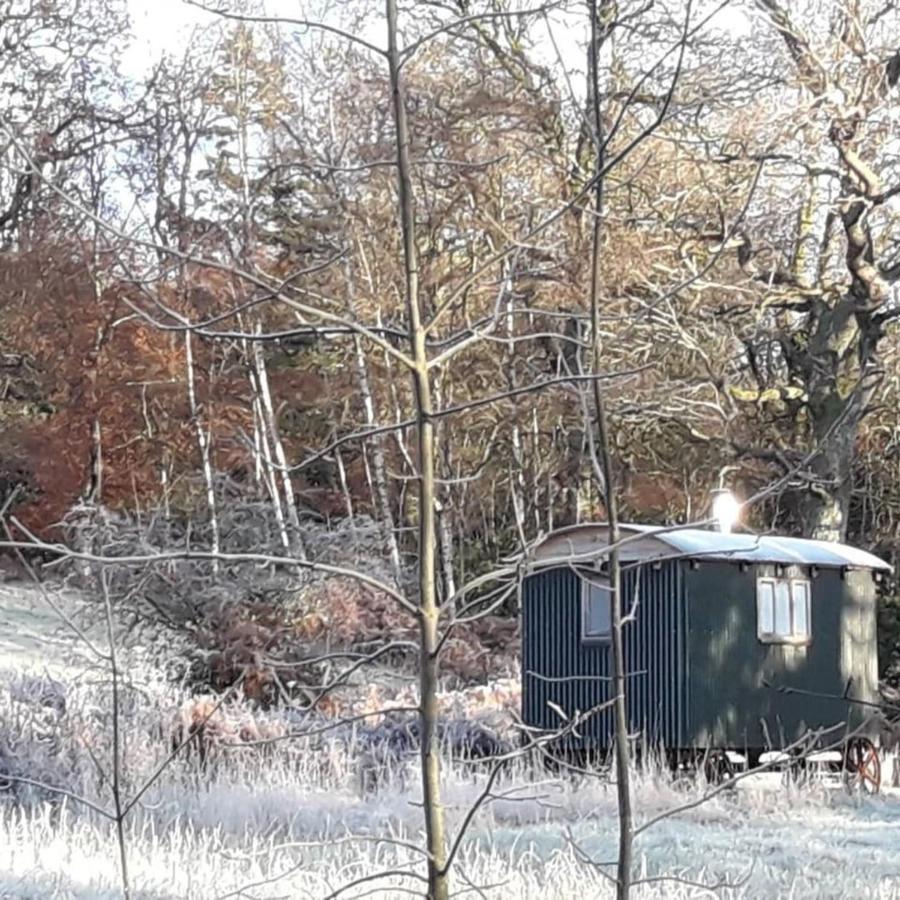 Cosy Woodland Off Grid Shepherds Hut - Rowan Castle Douglas Exterior foto