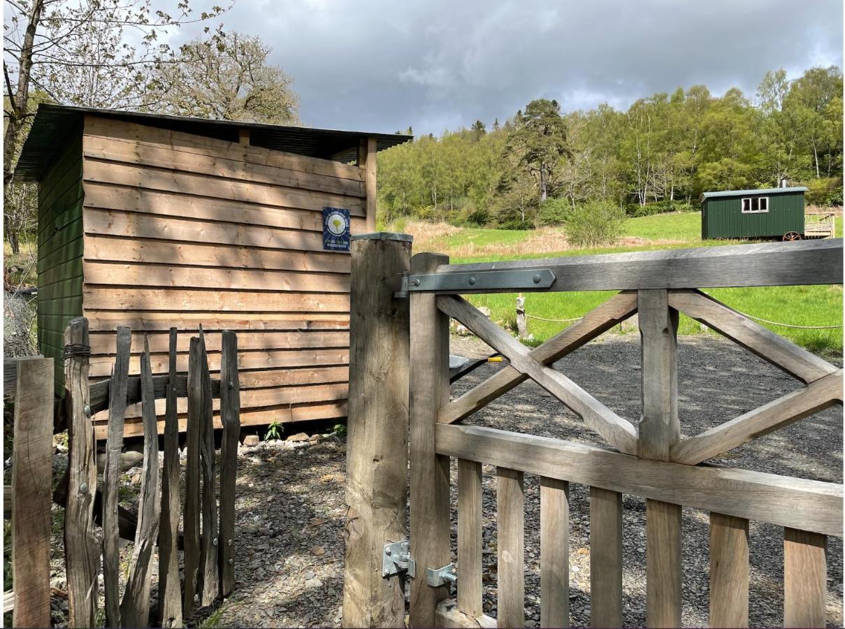 Cosy Woodland Off Grid Shepherds Hut - Rowan Castle Douglas Exterior foto