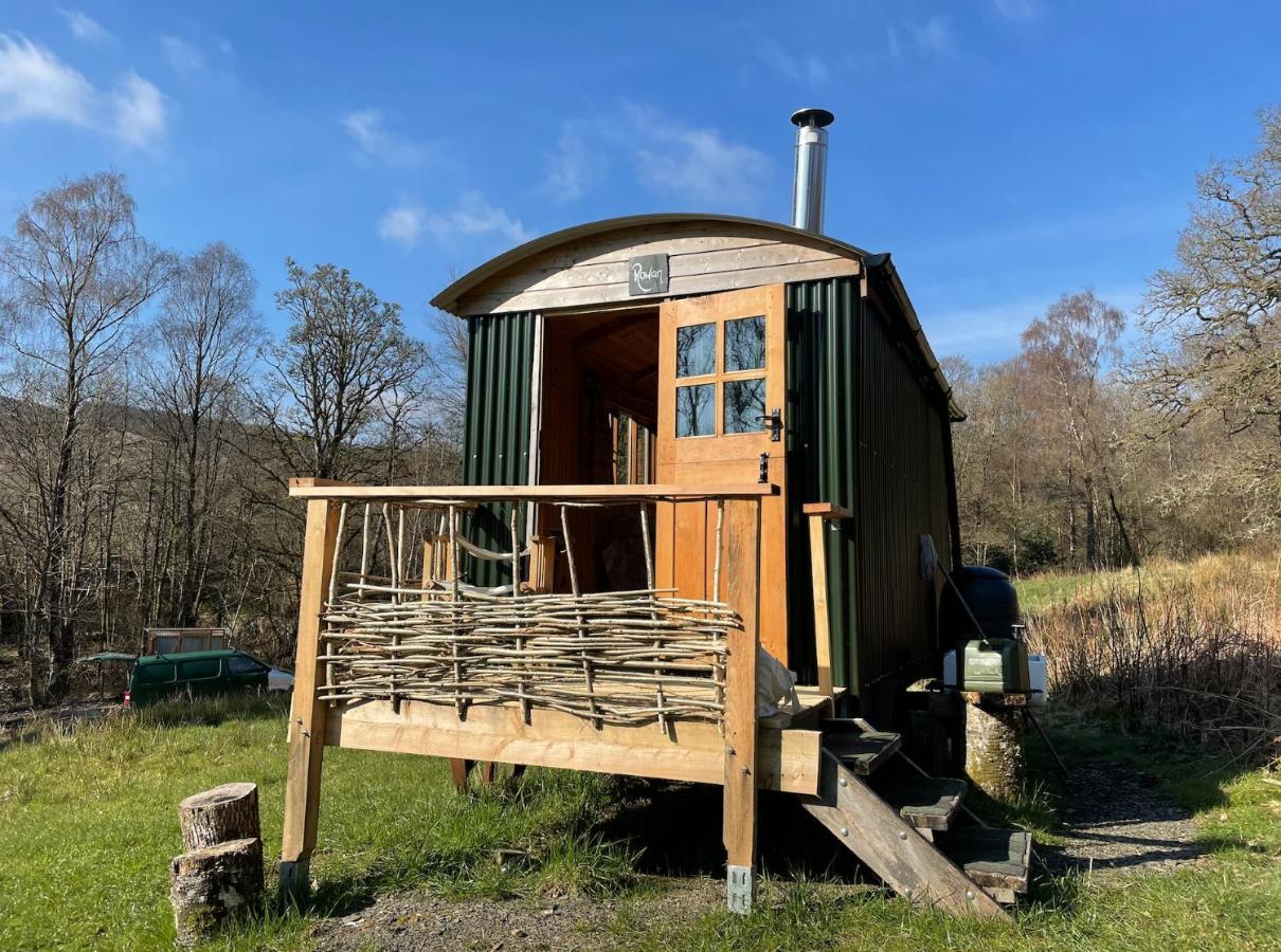 Cosy Woodland Off Grid Shepherds Hut - Rowan Castle Douglas Exterior foto